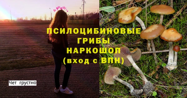 стафф Балахна