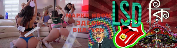 стафф Балахна